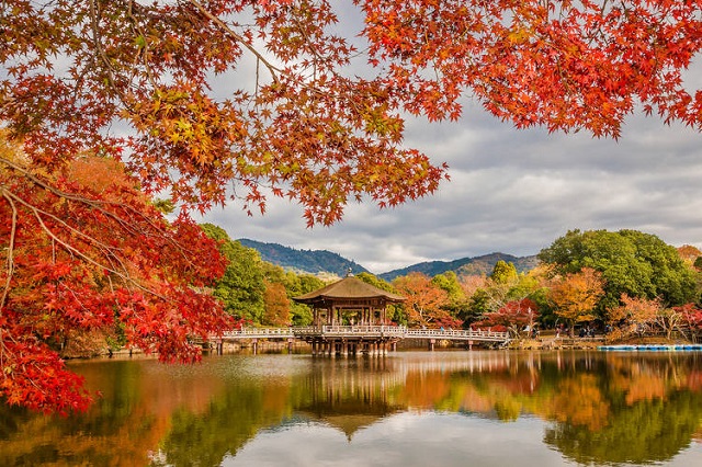 Note ngay list hoạt động giải trí nổi bật nhất vào mùa thu ở Nhật Bản