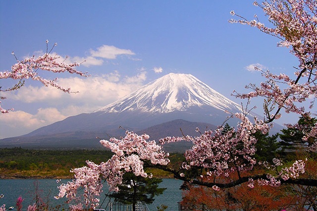 Tokyo là thành phố du lịch nổi tiếng hút khách ở Nhật Bản Tokyo là thành phố du lịch nổi tiếng hút khách ở Nhật Bản