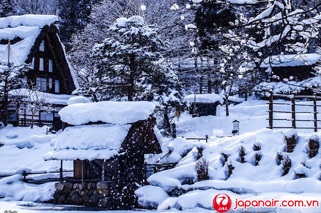 Tuyết phủ trắng xóa hút hồn du khách đến Tokyo Tuyết phủ trắng xóa hút hồn du khách đến Tokyo