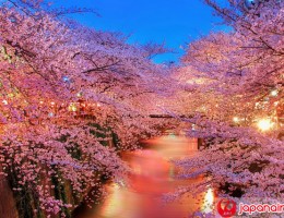 Vé máy bay đi Nhật Bản